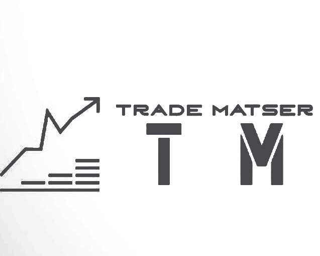 B TRADE MASTER LTD